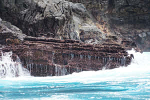 Galapagos_ Cliffside_ Waterfall Wallpaper