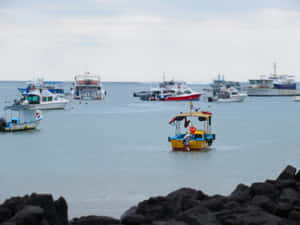 Galapagos_ Harbor_with_ Boats Wallpaper