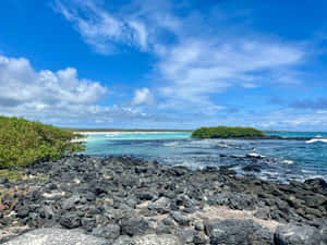 Galapagos Island Coastline Beauty Wallpaper