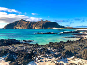 Galapagos Island Paradise Beach Wallpaper