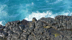 Galapagos Islands Volcanic Rocksand Turquoise Sea Wallpaper