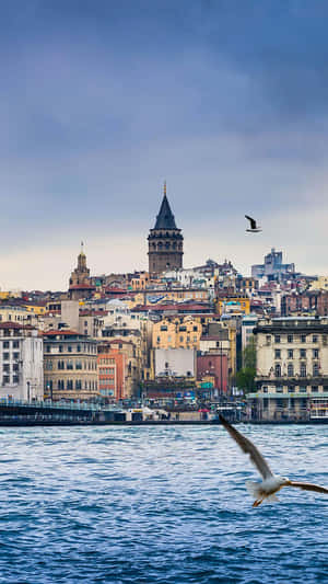 Galata Kulesi Istanbul Manzarasi Wallpaper