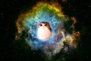 Galaxy Cat Centered Over A Nebula Wallpaper