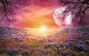 Galaxy Moon And Flower Field Wallpaper