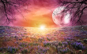 Galaxy Moon And Flower Field Wallpaper