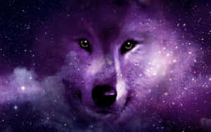 Galaxy Wolfin Stars Wallpaper