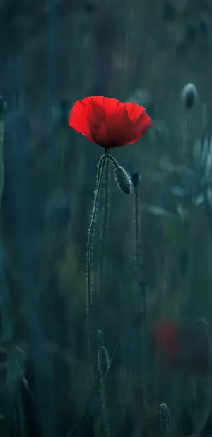 Gaming At Its Best Wallpaper