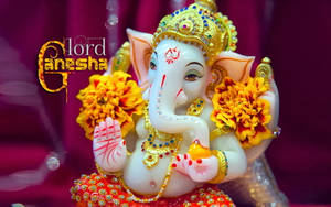 Ganesh Ji Hd On Pink Background Wallpaper