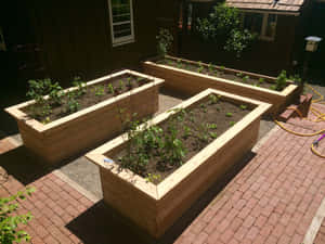 Garden Bed Surrounded By Lush Trees And Dappled Sunlight. Wallpaper