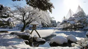 Garden Covered By Thick Snow Wallpaper
