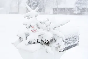 Garden Decor Covered In Pure White Snow Wallpaper