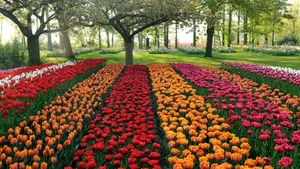 Garden Design: A Backyard Sanctuary Wallpaper