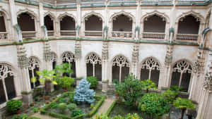 Garden Inside The Toledo Cathedral Wallpaper