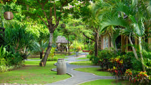 Garden Of A Sulawesi Resort Wallpaper