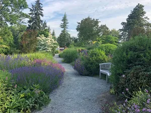 Garden With Perennial Scent Wallpaper