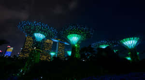 Gardens_ By_ The_ Bay_ Night_ Illumination Wallpaper