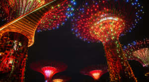 Gardens By The Bay Night Lights Wallpaper