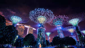 Gardens By The Bay Nighttime Illumination Wallpaper