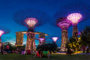 Gardens By The Bay Singapore Night View Wallpaper