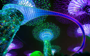 Gardens By The Bay Singapore Nighttime Illumination Wallpaper