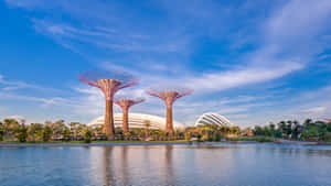 Gardens By The Bay Singapore Skyline Wallpaper