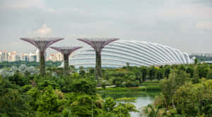 Gardens By The Bay Singapore Wallpaper