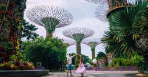 Gardens By The Bay Supertree Grove Couple Wallpaper