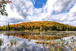 Gatineau Park Autumn Reflections Wallpaper