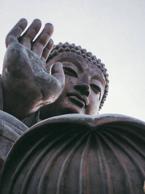 Gautam Buddha Concrete Statue Wallpaper