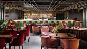 Gawky Goose Front Bar Wallpaper