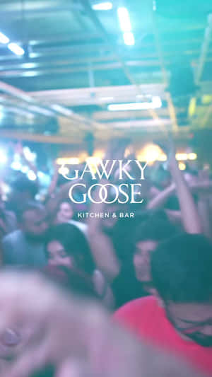Gawky Goose Party Wallpaper