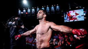 Gegard Mousasi Bellator 275 Entrance Wallpaper