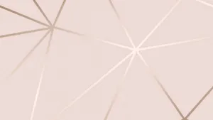 Geometric Lines On Rose Gold Laptop Wallpaper