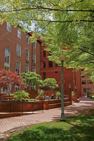 George Washington University Walkway Wallpaper