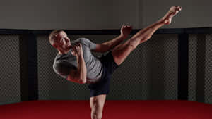 Georges St-pierre High Kick Wallpaper