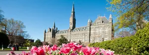 Georgetown University Tulips Wallpaper