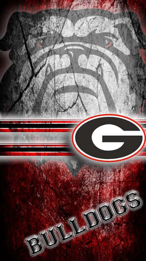 Georgia Bulldogs Phone Concrete Texture Wallpaper