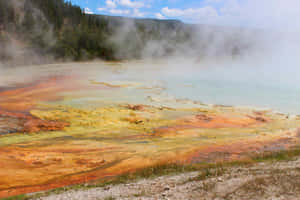 Geothermal_ Hot_ Spring_ Colors Wallpaper