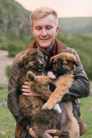 German Shepherd Dog Carried Wallpaper