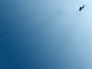 Get A Taste Of Minimalist Sports! Wallpaper