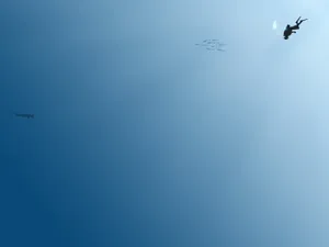 Get A Taste Of Minimalist Sports! Wallpaper