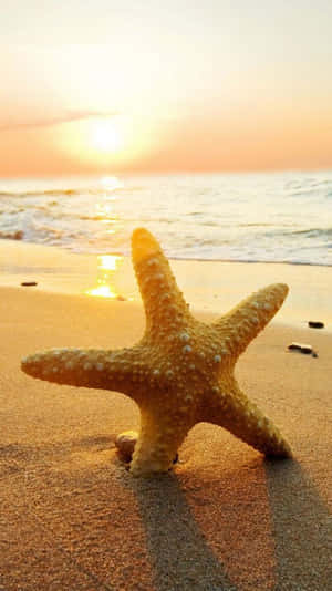 Get Connected With Beautiful Natural Surroundings Wallpaper