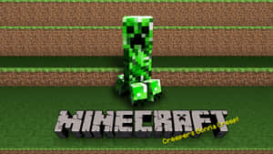 Get Creative With Cute Minecraft! Wallpaper