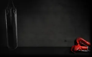 Get In The Ring And Show Your Strength With Cool Boxing Wallpaper