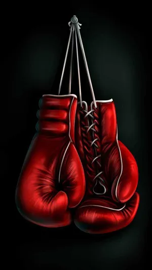 Get Inspired To Hit The Gym With A Cool Boxing Image Wallpaper