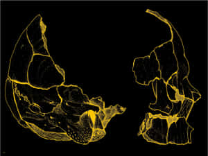 Get Inspired With Aesthetic Tumblr Desktop Wallpaper