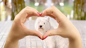 Get Lost In The Beauty Of Nature Wallpaper