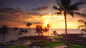 Get Lost In The Mesmerizing Beauty Of The Hawaiian Sunset. Wallpaper