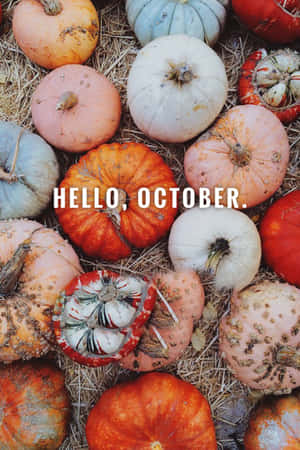 Get Ready For A Festive October With A Pumpkin! Wallpaper