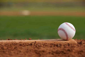 Get Ready For A Home Run! Wallpaper